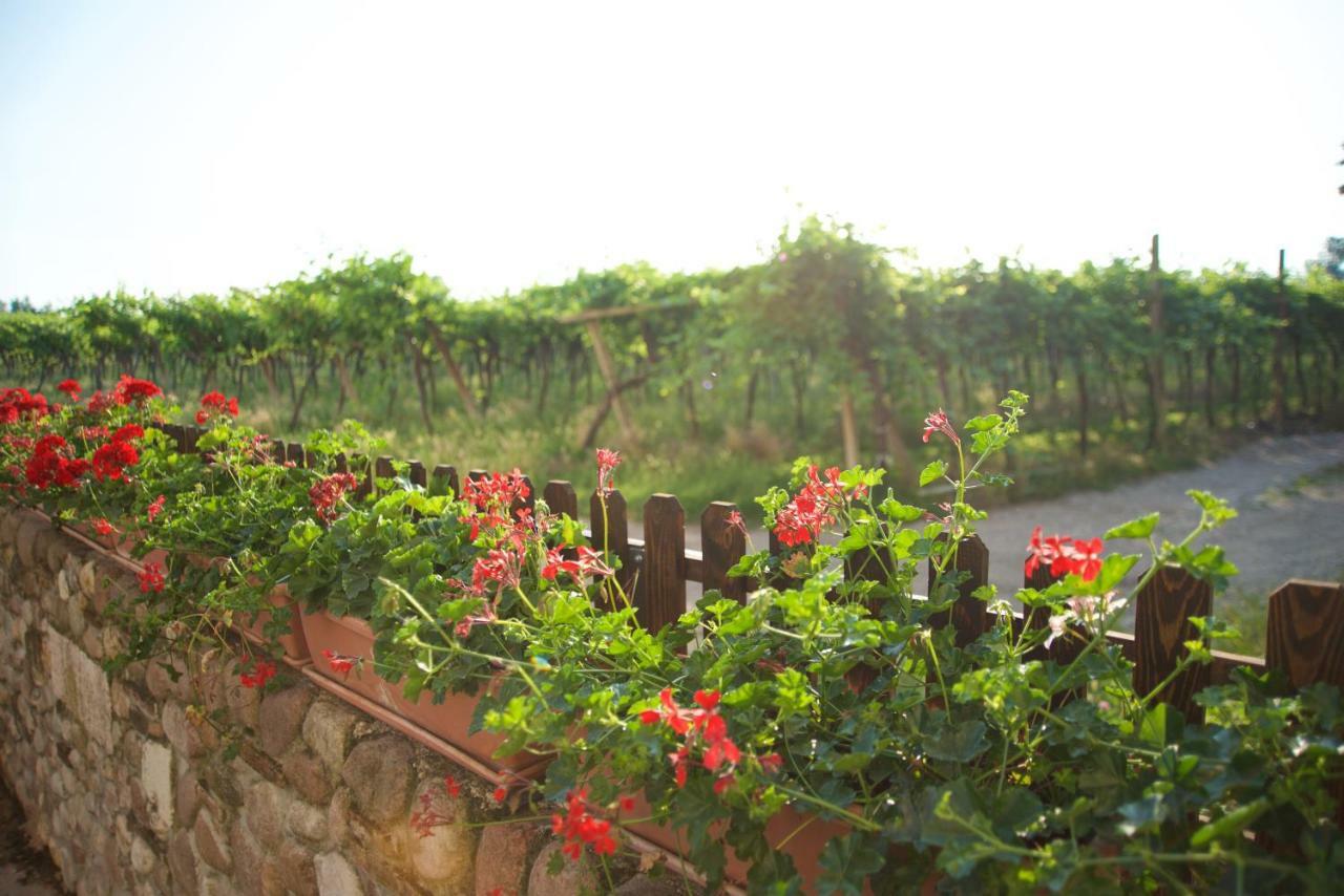 Alloggio per agriturismo Albarello Sona
