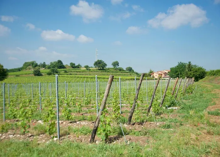 Agriturismo Albarello