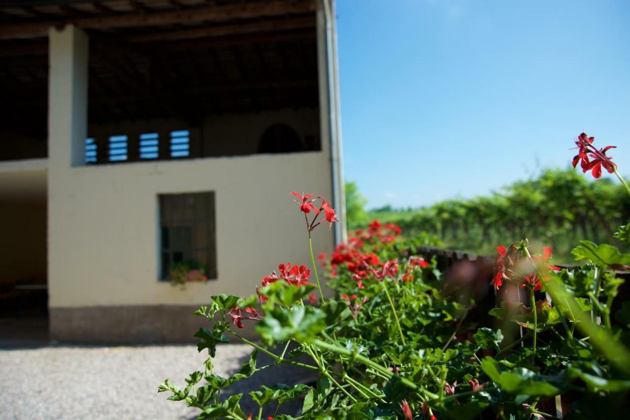 Albarello Séjour à la ferme Sona
