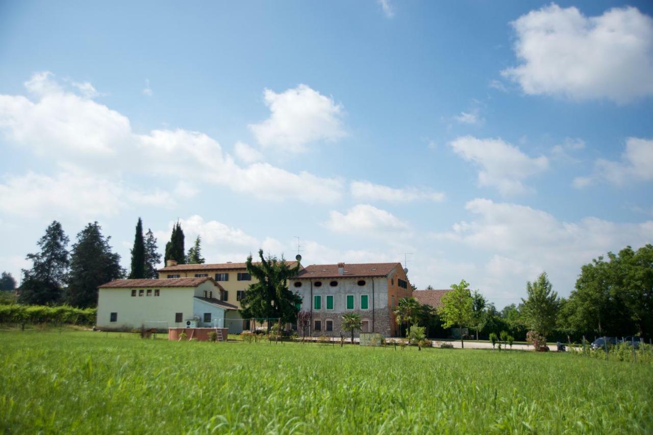 Albarello *