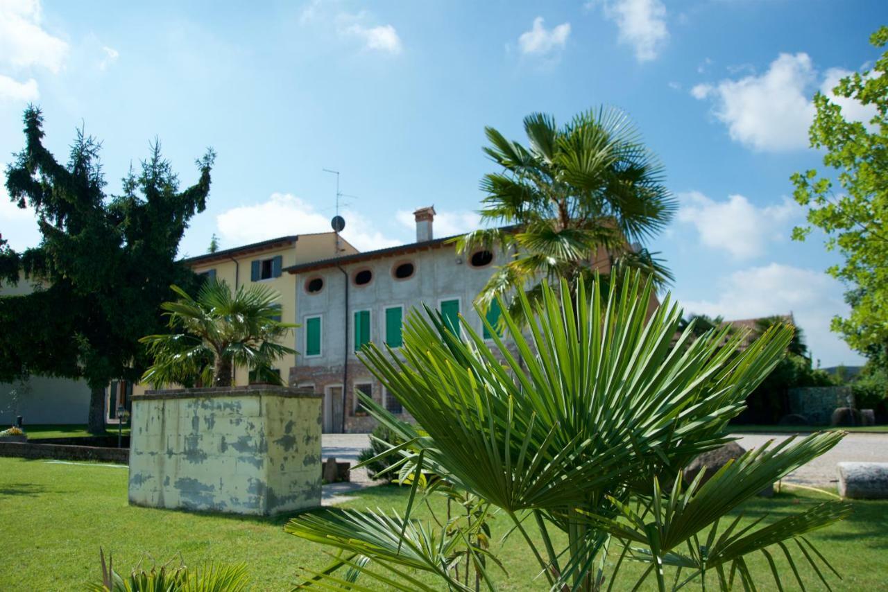 Albarello